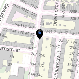 Appartement CLS00 H 3878 19