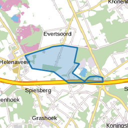 Sectie Y