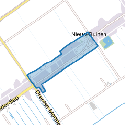 Nieuw-Buinen Midden