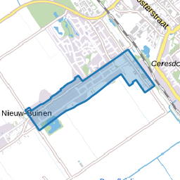 Nieuw-Buinen Oost