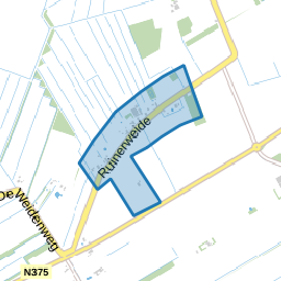 Ruinerweide