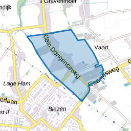Klein Dongen