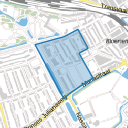 Anna Paulownastraat en omgeving