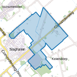 Verspreide huizen Slagharen-Oost