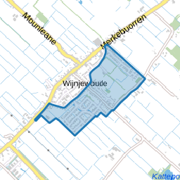 Wijnjewoude-Gentiaan