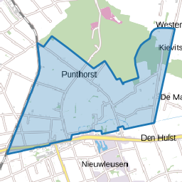 Verspreide huizen Punthorst