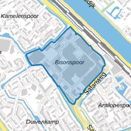 Bisonspoor