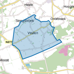Veulen