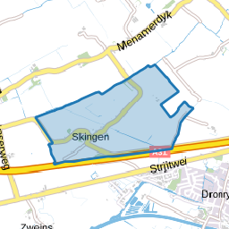 Skingen