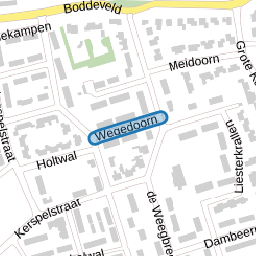 Wegedoorn