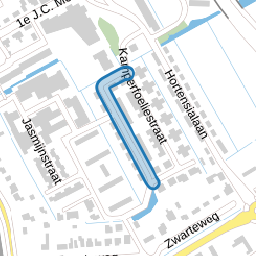 Goudenregenstraat