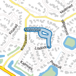 Waterlelie