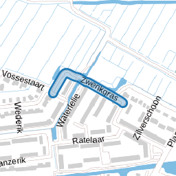 Zwenkgras