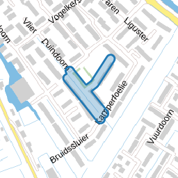 Sneeuwbal