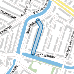Anna van Burenstraat