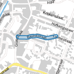 Bavinkstraat