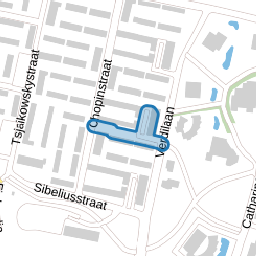 Bellinistraat