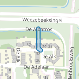De Aalscholver