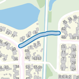 De Rijstvogel