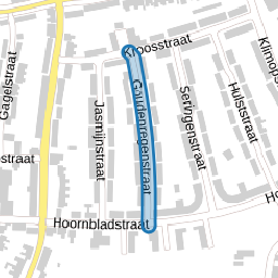 Goudenregenstraat