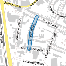 Tulpenstraat