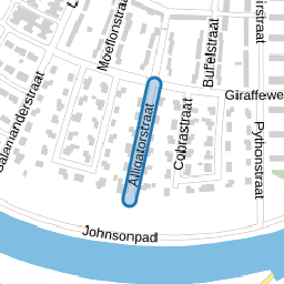 Alligatorstraat