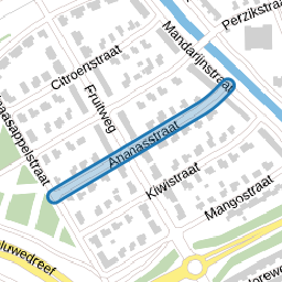 Ananasstraat