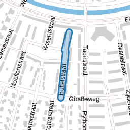 Buffelstraat