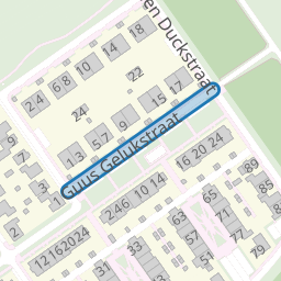 Guus Gelukstraat