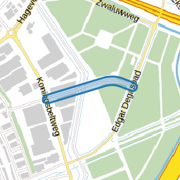 Koningsbeltpad