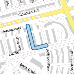 Marty Feldmanstraat
