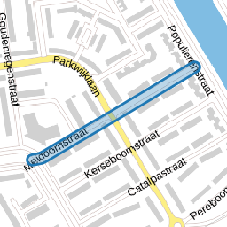 Meidoornstraat