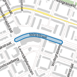 Mirtestraat