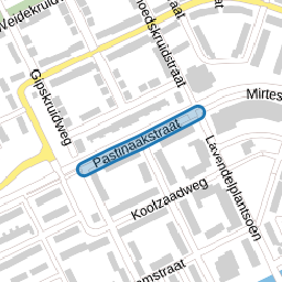 Pastinaakstraat
