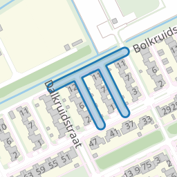 Penningkruidstraat