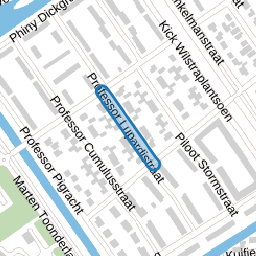 Professor Lupardistraat