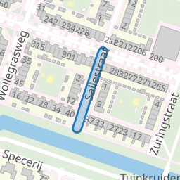 Saliestraat