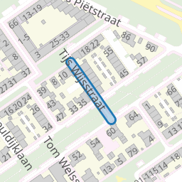 Tijs Wijsstraat
