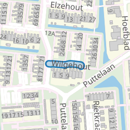 Wilgehout