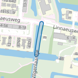 Wilgenlaantje