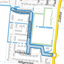 Zilverschoon