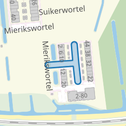 Peterseliewortel