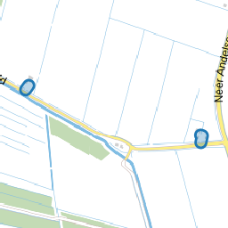 Eendenveld