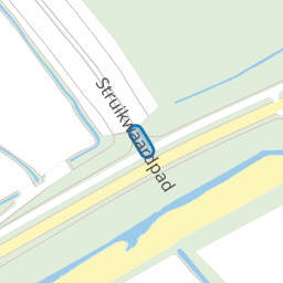 Struikwaardpad