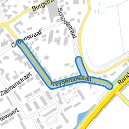 Reygerboslaan