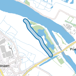 Struikwaardpad
