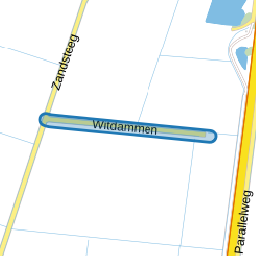Witdammen