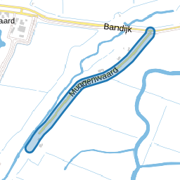 Muggenwaard