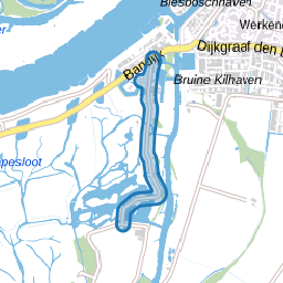 Steurgat