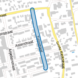 Tulpstraat